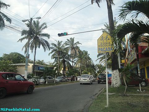 La ceiba