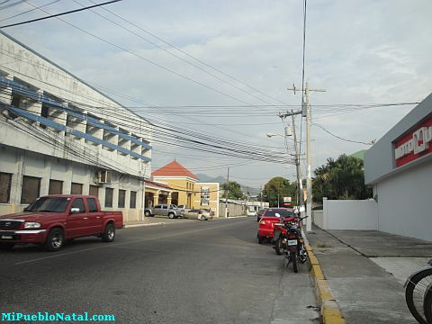 La ceiba