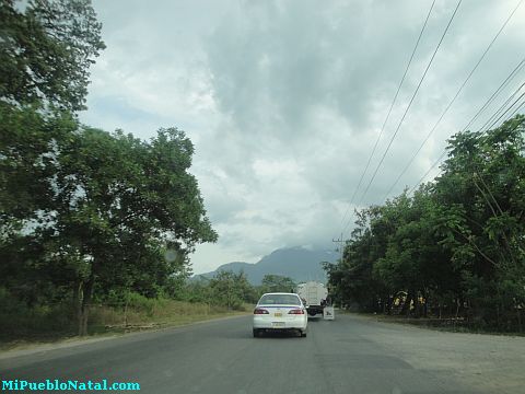 La ceiba