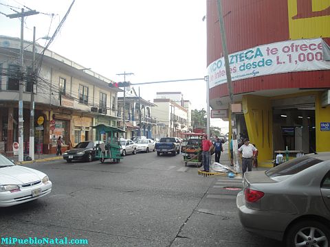 La ceiba