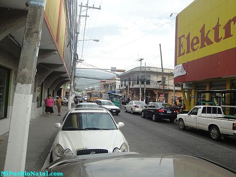 La ceiba