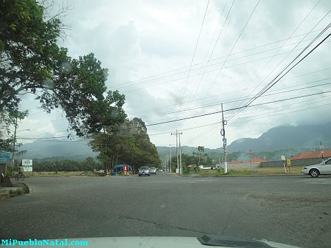 La ceiba