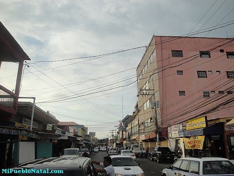 La ceiba