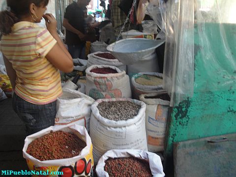 La ceiba