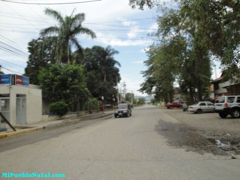 Fotos De La Lima Honduras