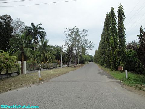 Honduras La Lima