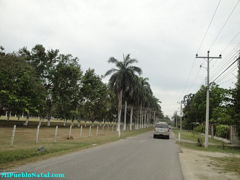 Imagenes De La Lima