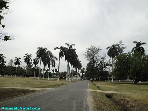 Fotografias De La Lima