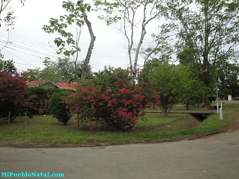 Honduras La Lima Centro America