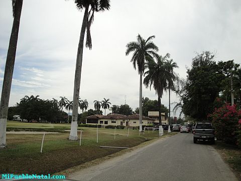 Fotos De La Lima Honduras