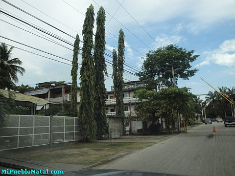 La Lima Honduras