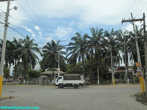 Honduras La Lima