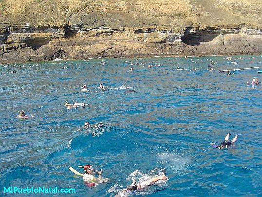 Molokini Island