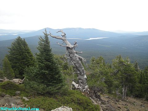 Mount Mcloughlin Cascade Range