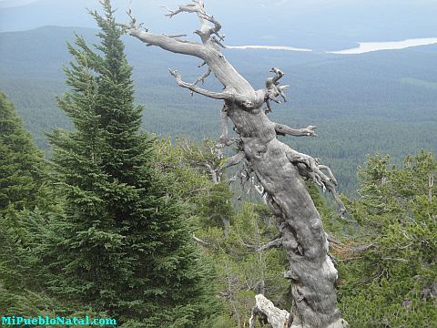 Mount Mcloughlin Southern Oregon