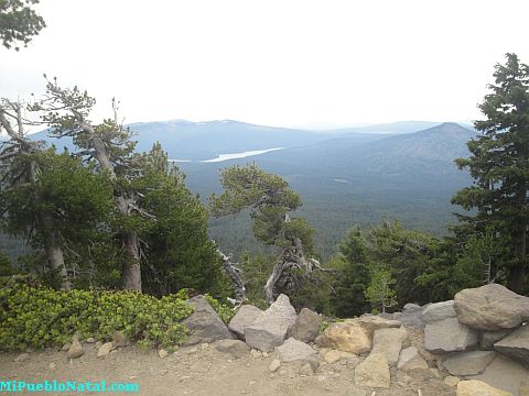 Mcloughlin Mount