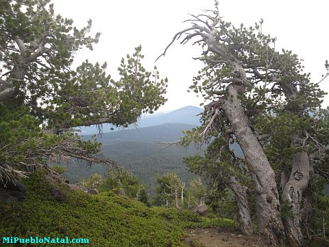 Mount Mcloughlin Pictures