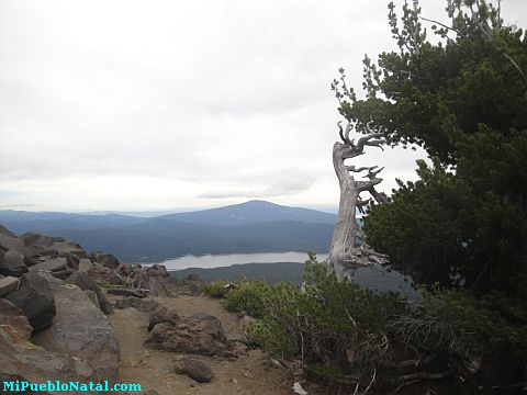 Mount Mcloughlin Pictures