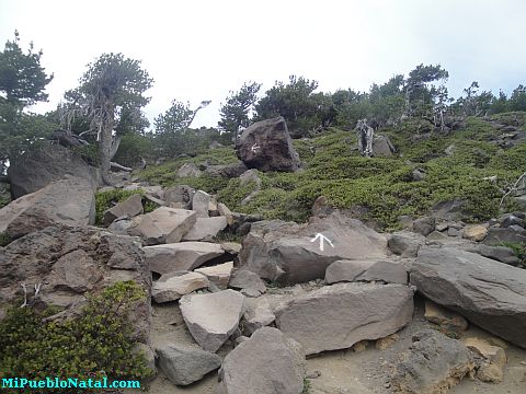 Mount Mcloughlin Pictures