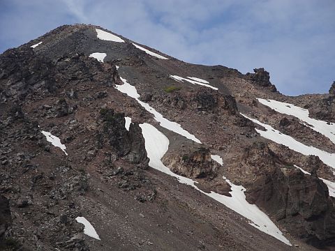 Mount Mcloughlin Vegetation