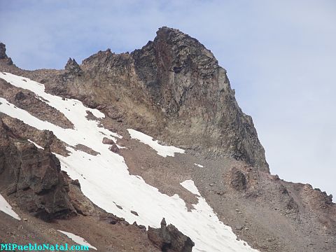 Mount Mcloughlin Vegetation