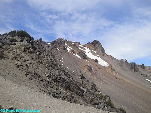 Mount Mcloughlin Vegetation