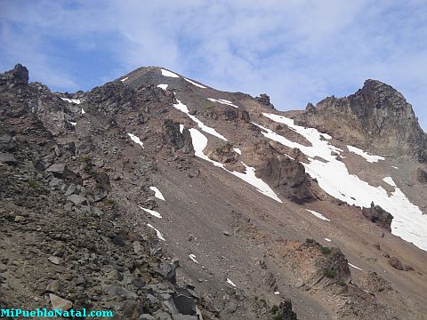 Mount Mcloughlin Vegetation