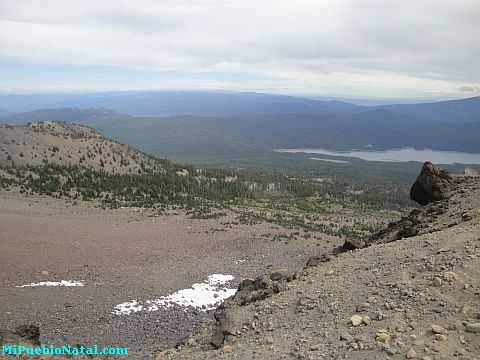 Mount Mcloughlin Vegetation