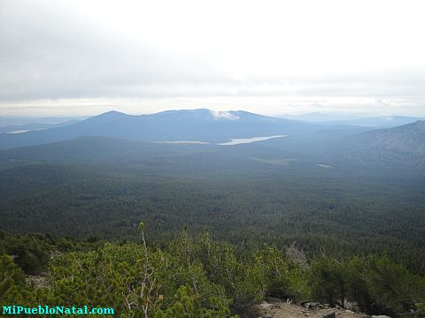 Mount Mcloughlin Vegetation