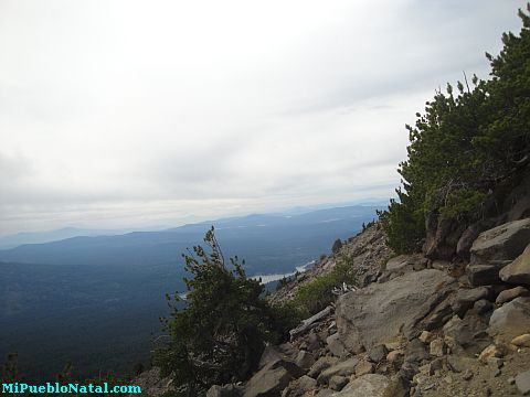 Mount Mcloughlin Vegetation