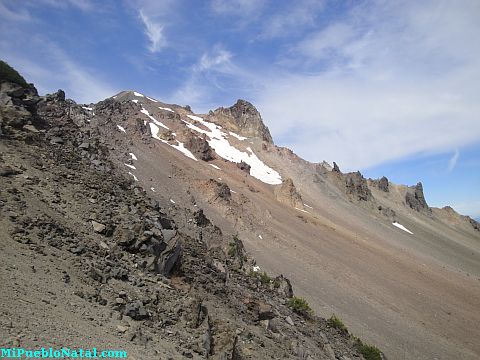 Mount Mcloughlin Vegetation