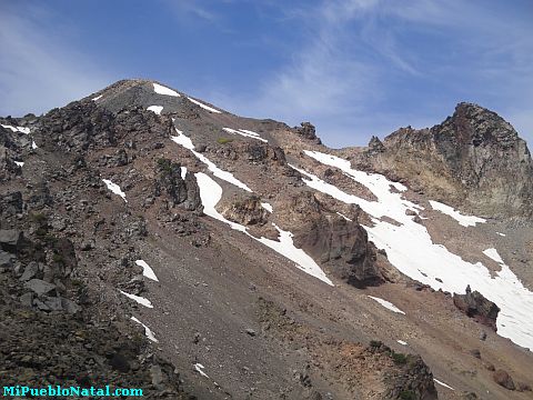 Mount Mcloughlin Vegetation