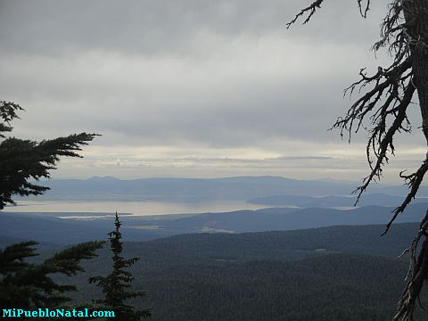 Mount Mcloughlin Vegetation