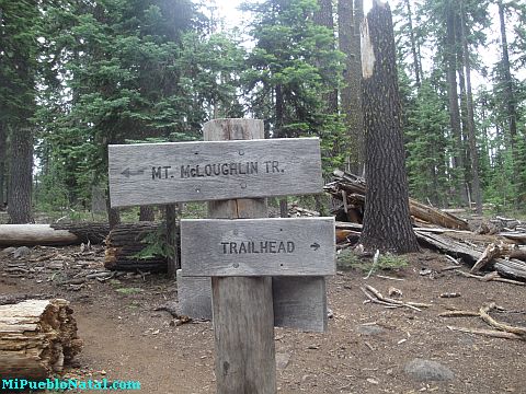 Mount Mcloughlin Vegetation