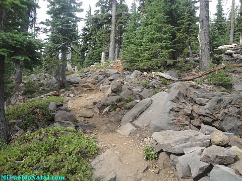 Mount Mcloughlin Pics