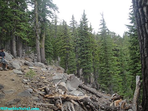 Mount Mcloughlin Images