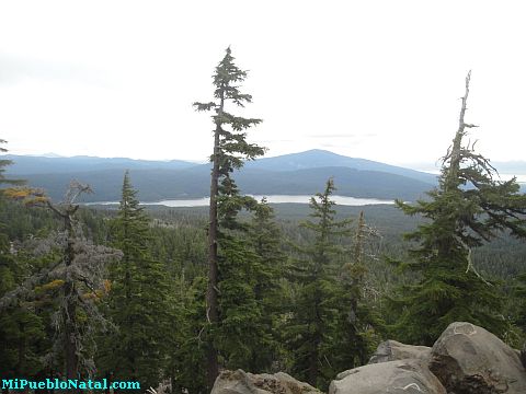 Mount Mcloughlin Vegetation