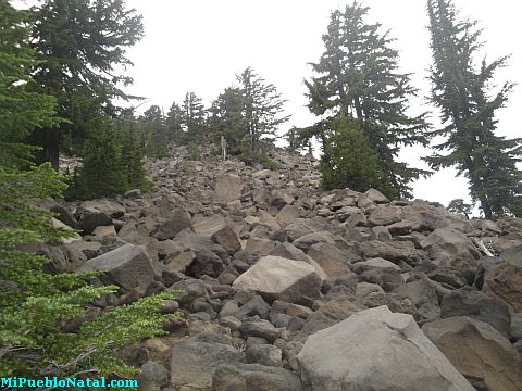 Mount Mcloughlin Vegetation