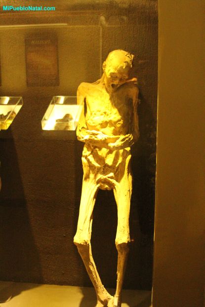 Mummies Information