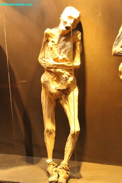 Pictures of Mummies