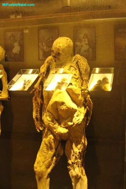 Museum Mummy Exhibit