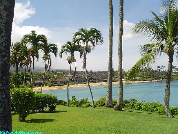 Napili Village