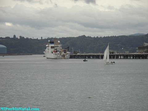 Newport Boat