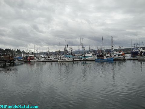 Newport Harbor