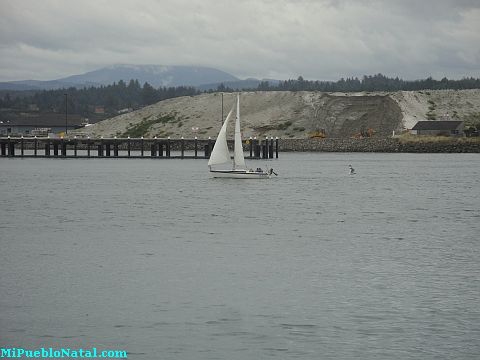 Newport Sailboat