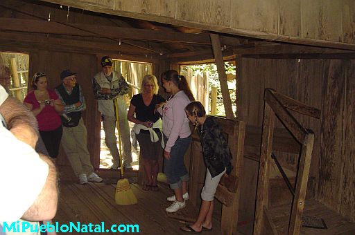 Oregon Vortex