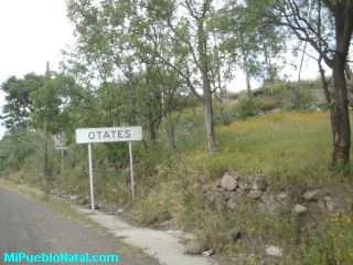 Otates