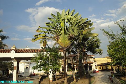 Imagen del Parque de Copan Ruinas