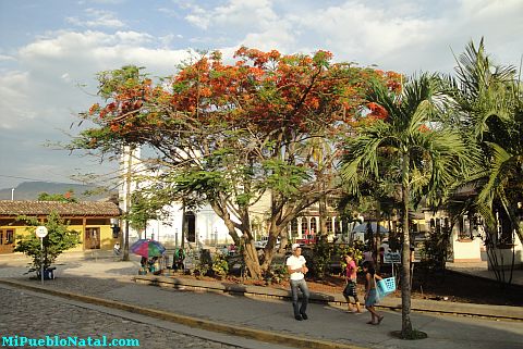 Fotografia del Parque de Copan Ruinas