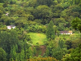 Parque la tigra